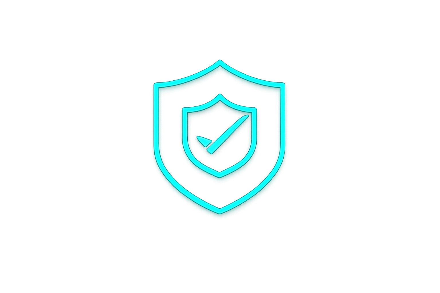 executive protection